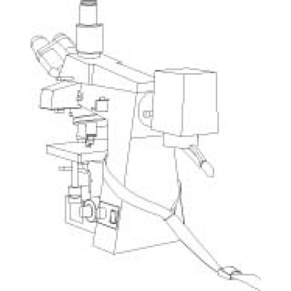 Microscope Restraint System